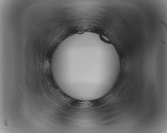 X0000101470087200807211346