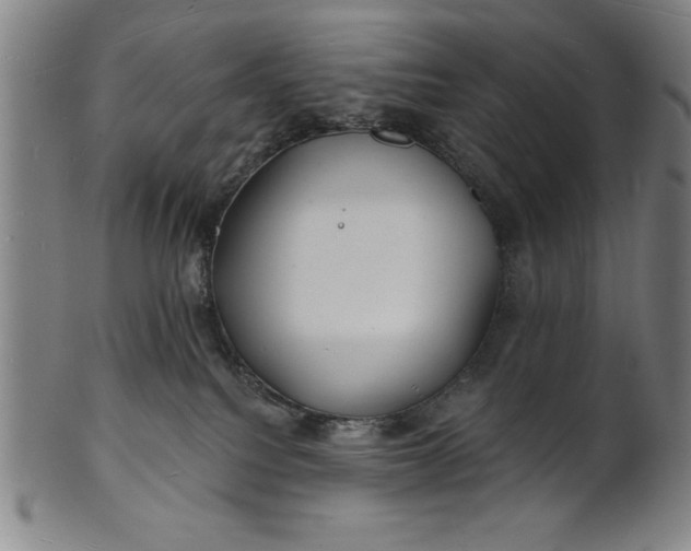 X0000101470088200807211346