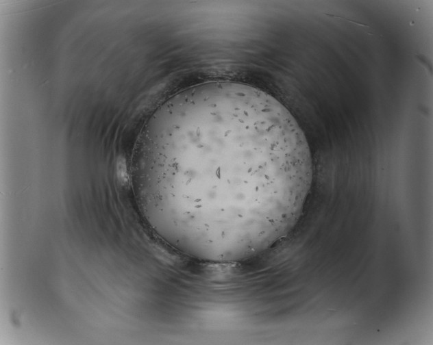 X0000101470089200807211346