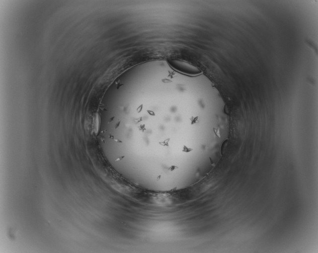 X0000101470091200807211346