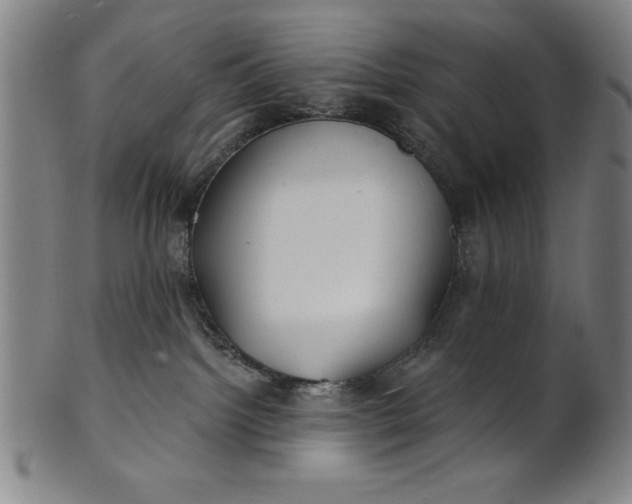 X0000101470092200807211346