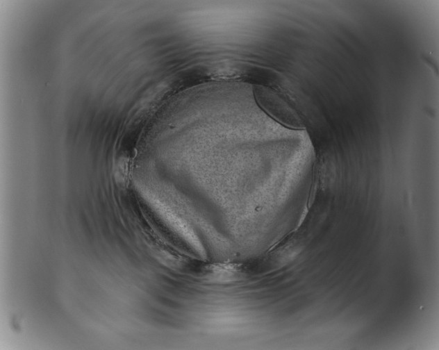 X0000101470093200807211346