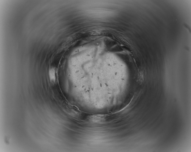 X0000101470094200807211346