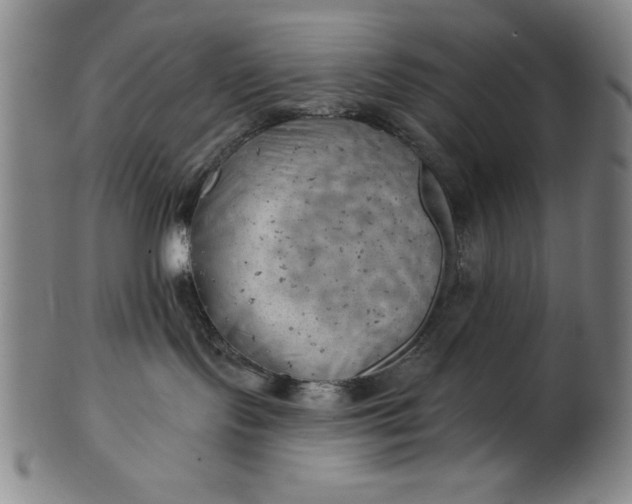 X0000101470095200807211346