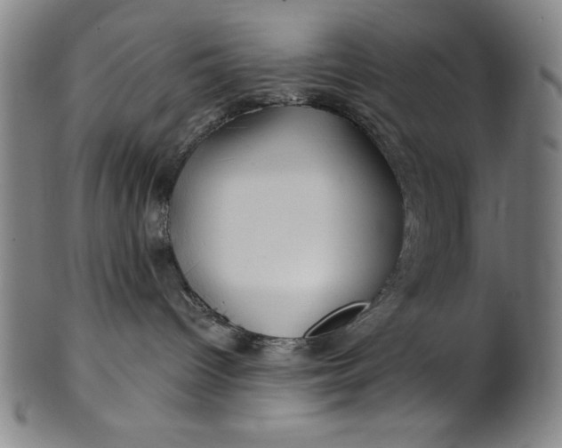 X0000101470096200807211346