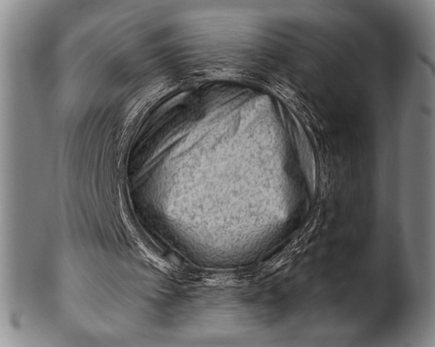 X0000101470097200807211345