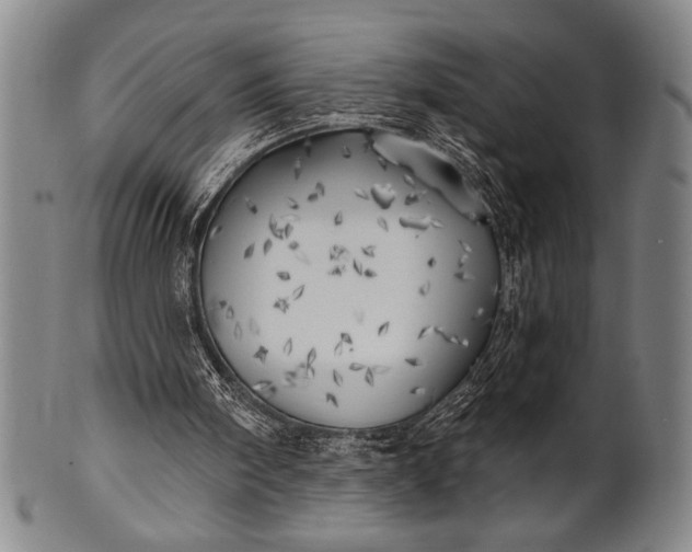 X0000101470098200807211345