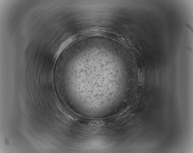 X0000101470099200807211345