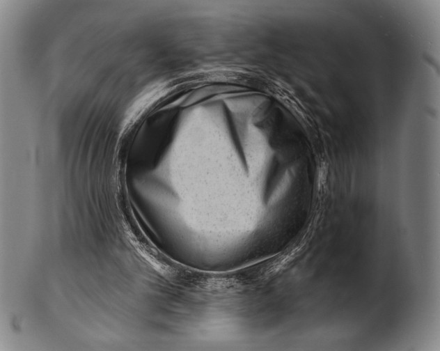 X0000101470101200807211345