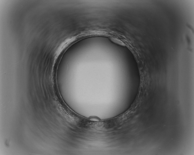 X0000101470104200807211345