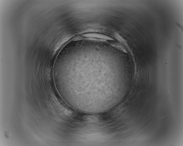 X0000101470106200807211345