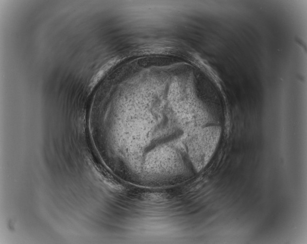 X0000101470107200807211345