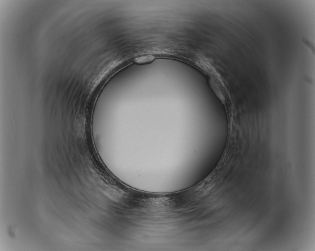 X0000101470108200807211345