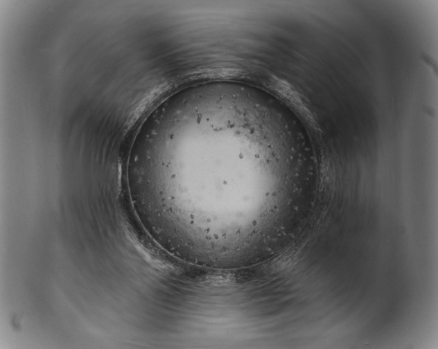 X0000101470110200807211345