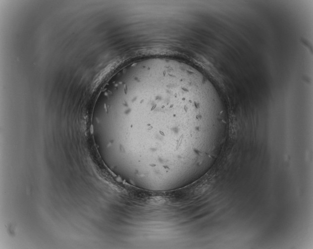 X0000101470111200807211345