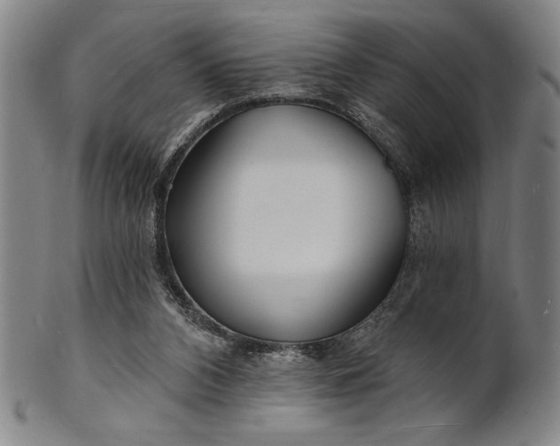 X0000101470112200807211345