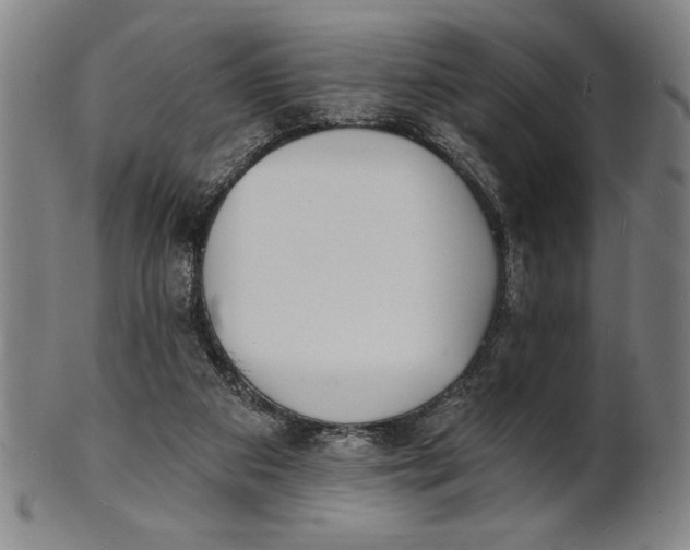 X0000101470113200807211345