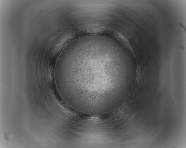 X0000101470114200807211345