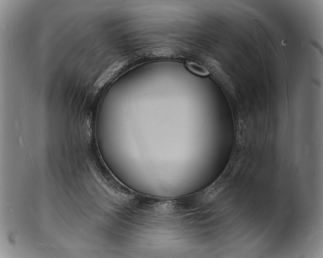 X0000101470116200807211345