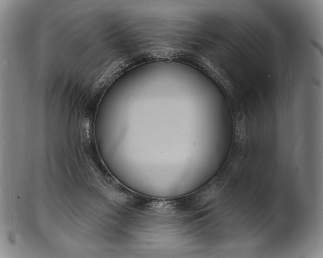 X0000101470117200807211345