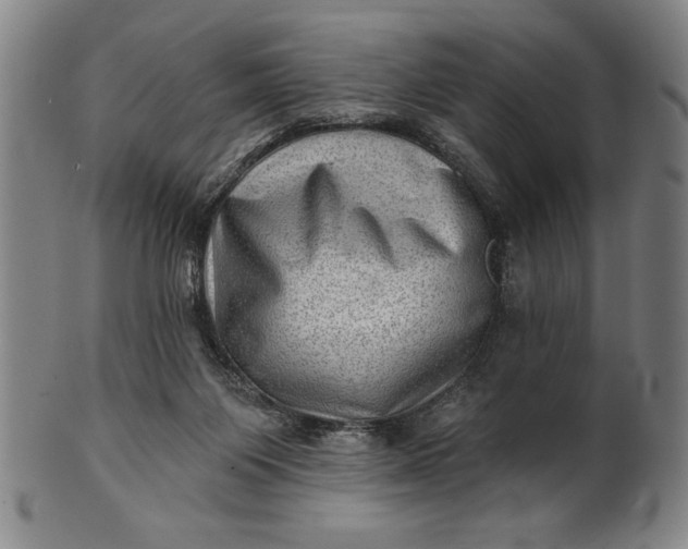 X0000101470119200807211345