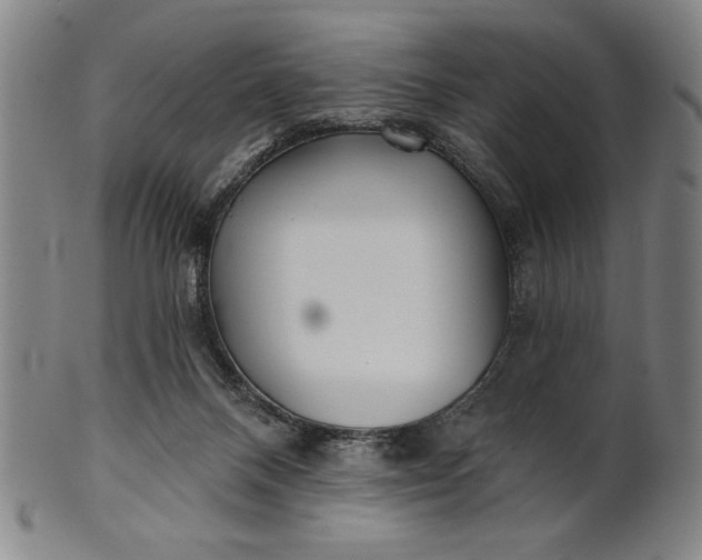 X0000101470120200807211345