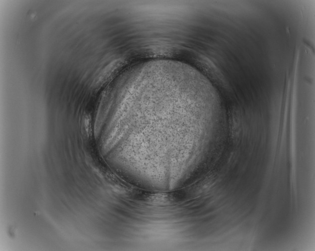 X0000101470123200807211345