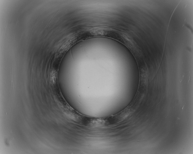 X0000101470125200807211345