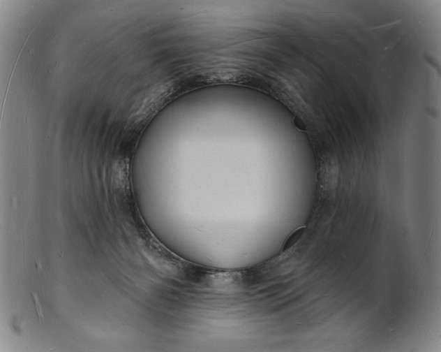 X0000101470126200807211345