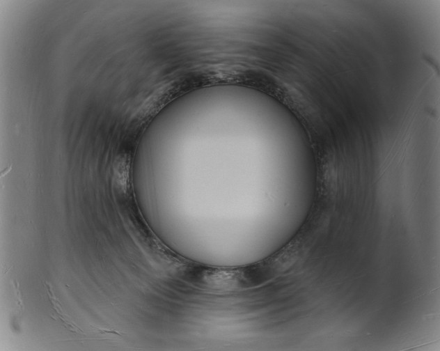 X0000101470129200807211345