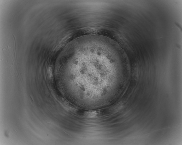 X0000101470131200807211345