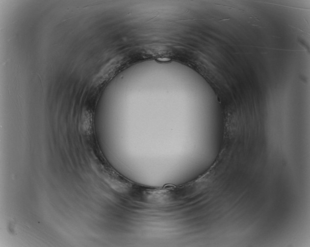 X0000101470132200807211345