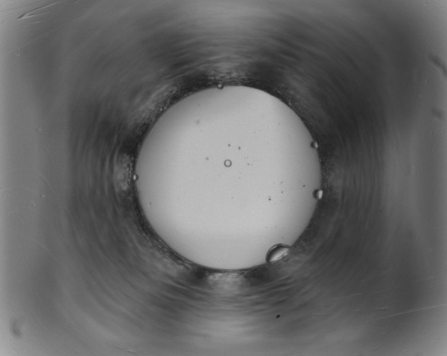 X0000101470133200807211345