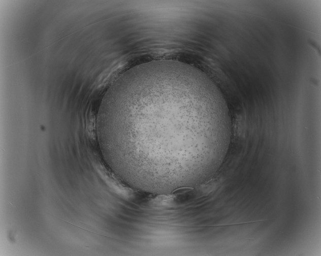 X0000101470138200807211345