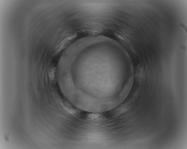 X0000101470139200807211345