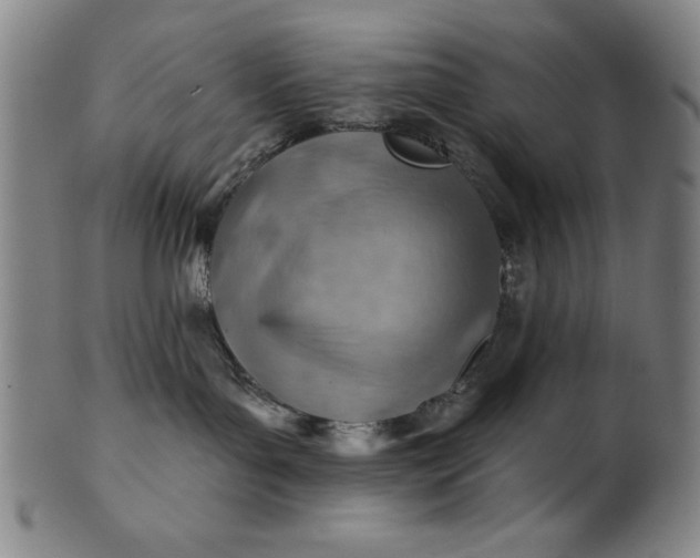 X0000101470143200807211345