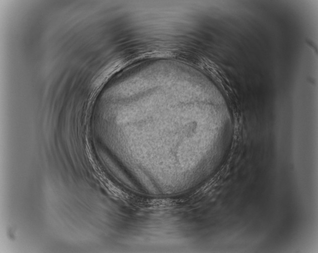 X0000101470145200807211344