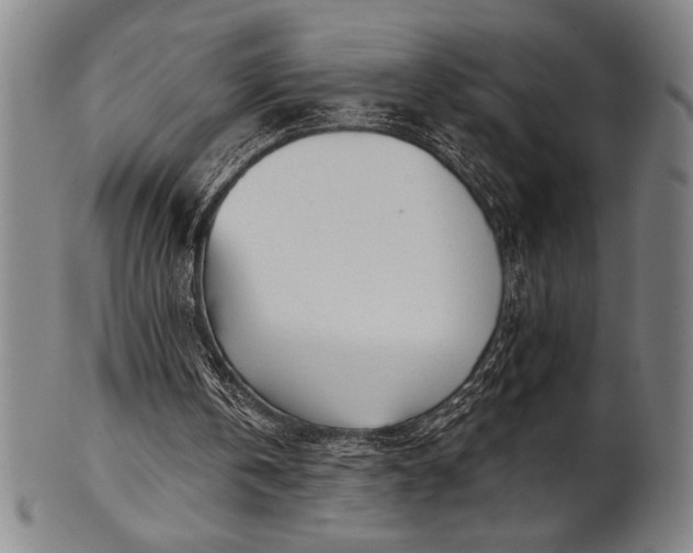 X0000101470146200807211344