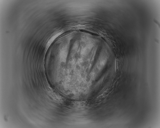 X0000101470147200807211344