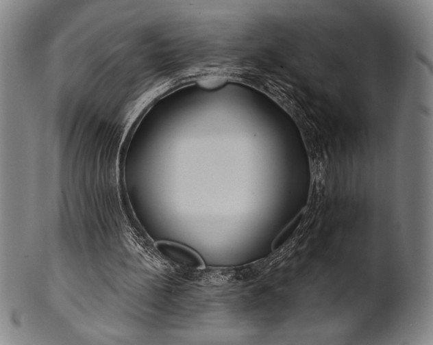 X0000101470148200807211344