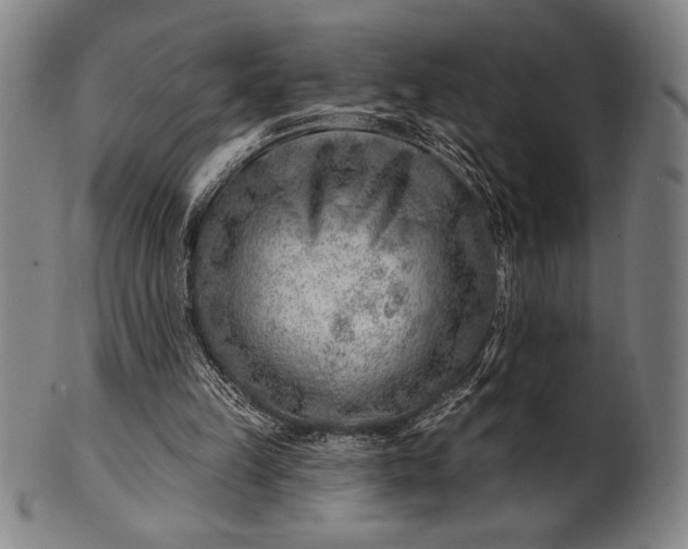 X0000101470149200807211344