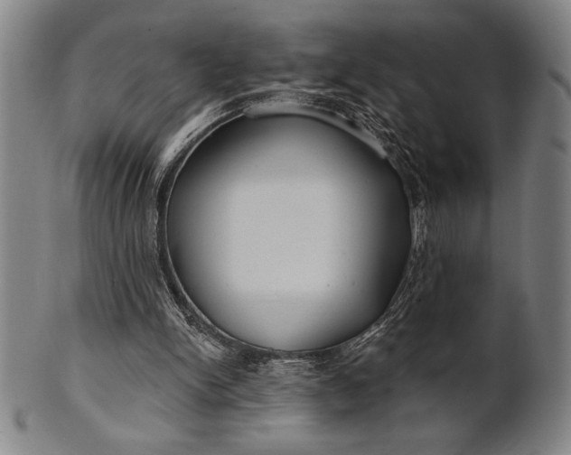 X0000101470150200807211344