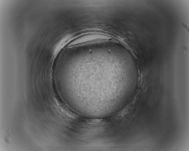 X0000101470151200807211344