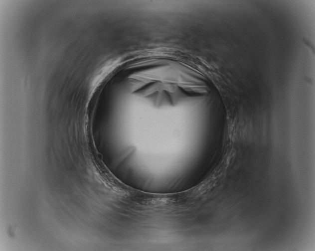 X0000101470152200807211344