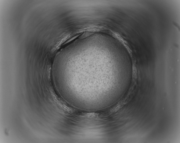 X0000101470153200807211344