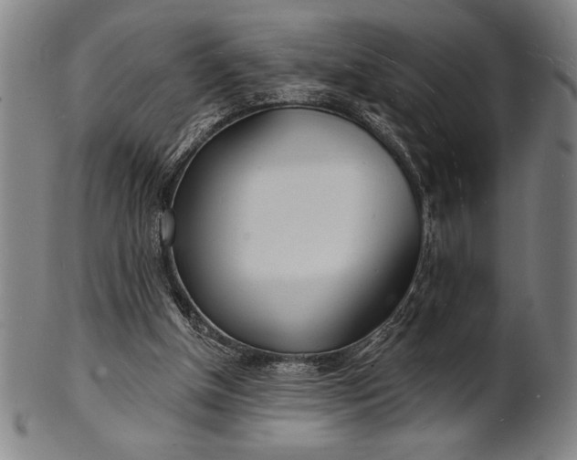 X0000101470154200807211344