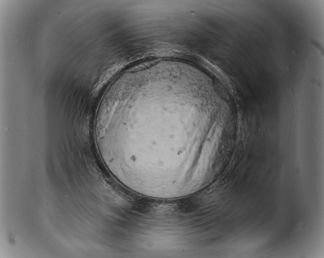 X0000101470155200807211344