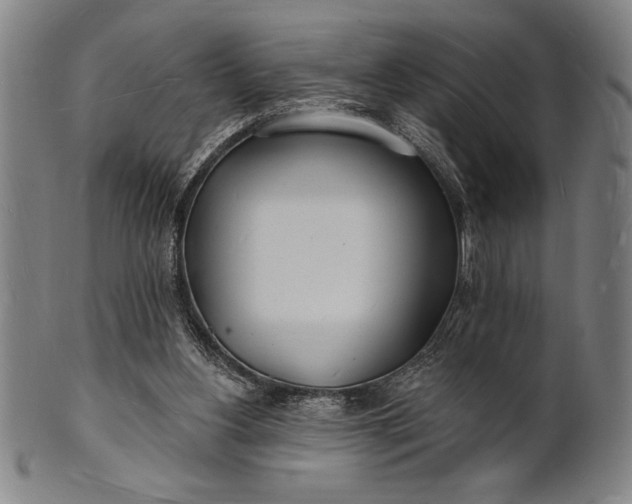 X0000101470156200807211344