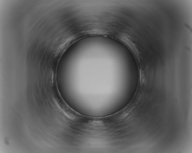 X0000101470157200807211344