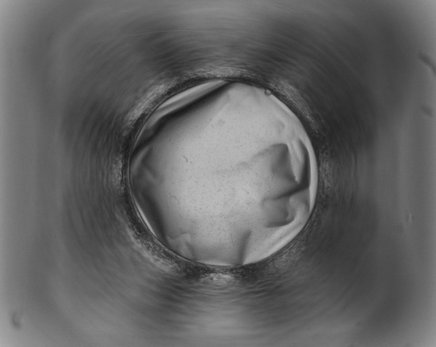 X0000101470159200807211344